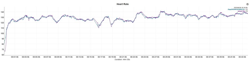albastru (Amazfit Balance 2), mov (Polar Verity Sense)