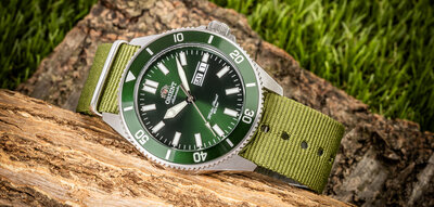 curea din nylon Ricardo Kronplatz, verde, NATO