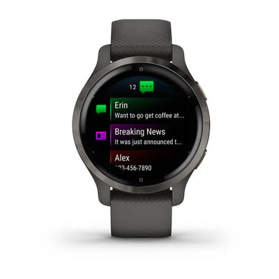 Garmin Venu 2S Slate / Black Band