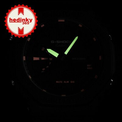 Casio G-Shock Original GA-2100-1A4ER Carbon Core Guard Utility Black Series