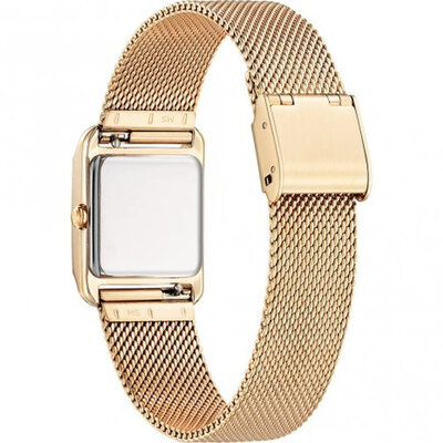 Citizen Elegant Eco-Drive EW5593-64D (+ curea de schimb)