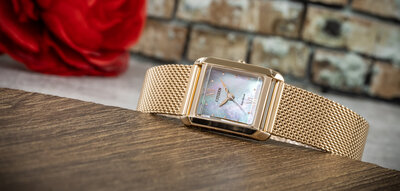 Citizen Elegant Eco-Drive EW5593-64D (+ curea de schimb)