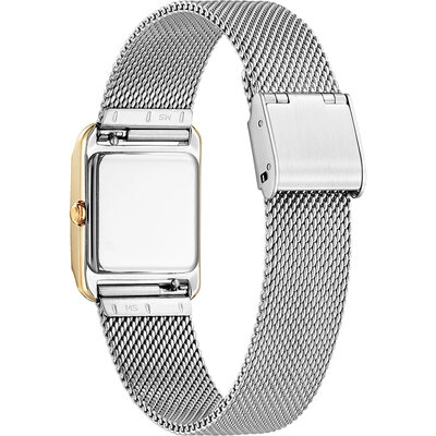 Citizen Elegant Eco-Drive EW5596-66X (+ curea de schimb)