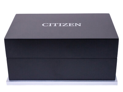 Citizen Series 8 GMT Automatic NB6030-59L