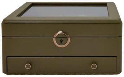 Cutie pentru ceasuri Wolf Earth 190741