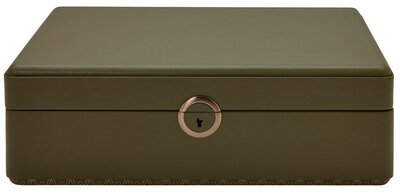 Cutie pentru ceasuri Wolf Earth 190941