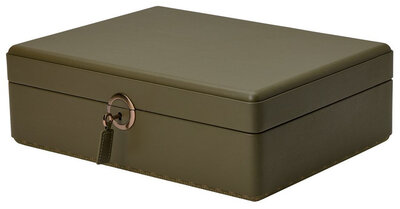 Cutie pentru ceasuri Wolf Earth 190941