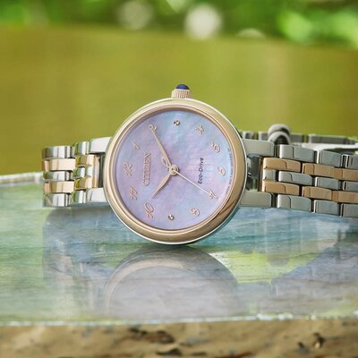 Citizen L Eco-Drive EM0996-84Y