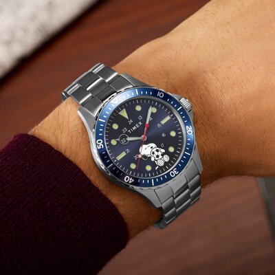 Timex Peanuts TW2Y53900UK