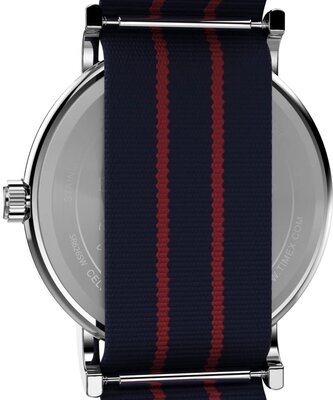 Timex Peanuts TW2Y31100