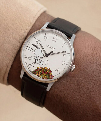 Timex Waterbury x Peanuts TW2Y85600