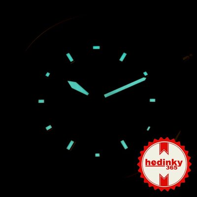 Citizen Promaster Sky Pilot Global Eco-Drive Radiocontrolled JY8020-52E