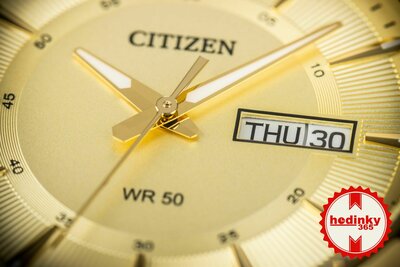 Citizen Basic Quartz BF2013-56PE